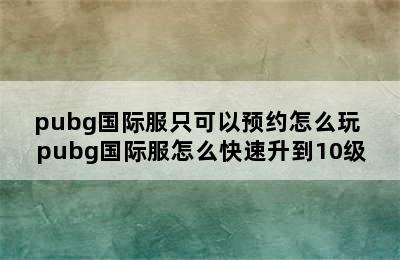 pubg国际服只可以预约怎么玩 pubg国际服怎么快速升到10级